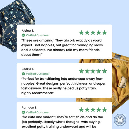 Potty Training Underwear